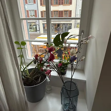 -kaiser55 * Waldshut-Tiengen