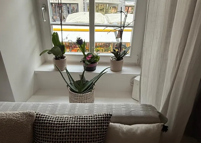 Apartamento -kaiser55 *