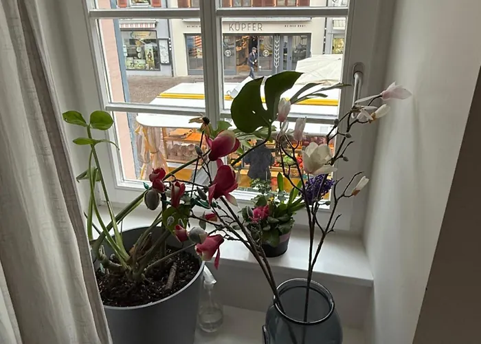 -kaiser55 * Waldshut-Tiengen