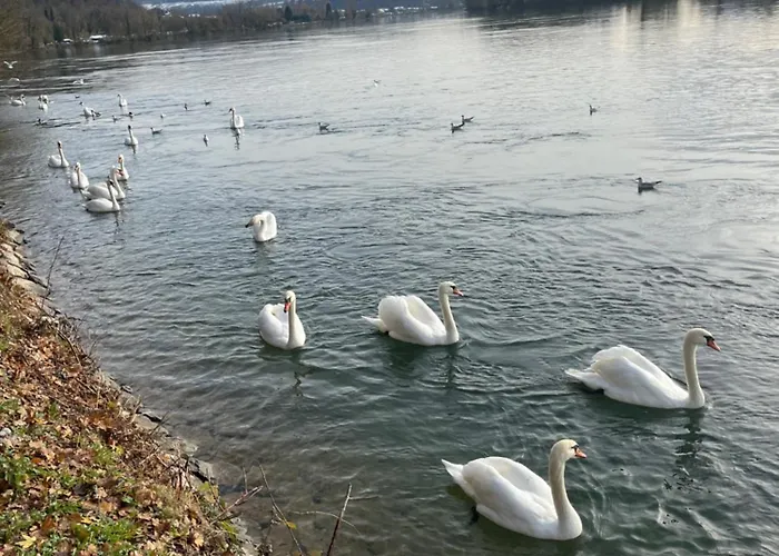 -kaiser55 Apartamento